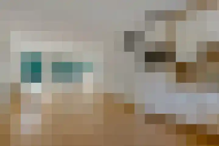 Hessenweg 83 64 Lunteren thumbnail 6