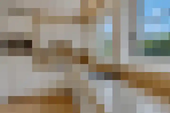 Hessenweg 83 64 Lunteren thumbnail 7