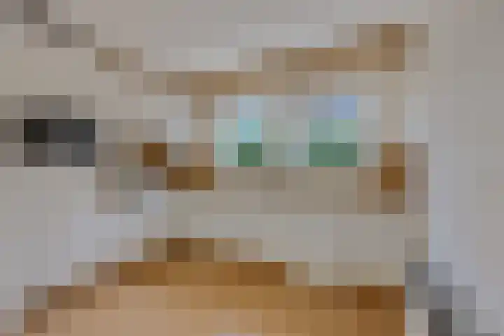 Hessenweg 83 64 Lunteren thumbnail 8