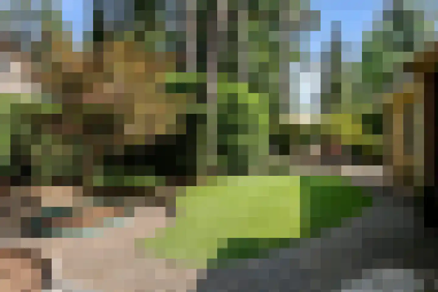 Hessenweg 83 73 Lunteren thumbnail 5