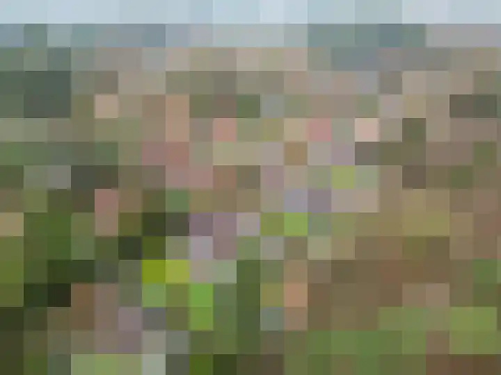 Hessenweg 83 D Lunteren thumbnail 30