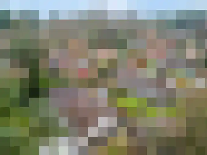 Hessenweg 83 D Lunteren thumbnail 31