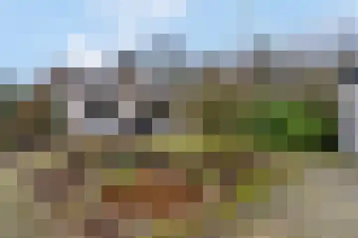 Hessenweg 83 D Lunteren thumbnail 32