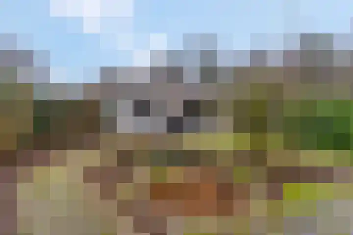 Hessenweg 83 D Lunteren thumbnail 33