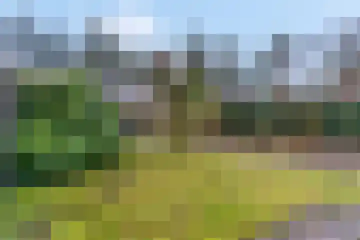 Hessenweg 83 D Lunteren thumbnail 34