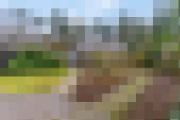 Hessenweg 83 D Lunteren thumbnail 35