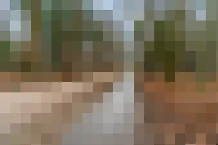 Hessenweg 83 D Lunteren thumbnail 39