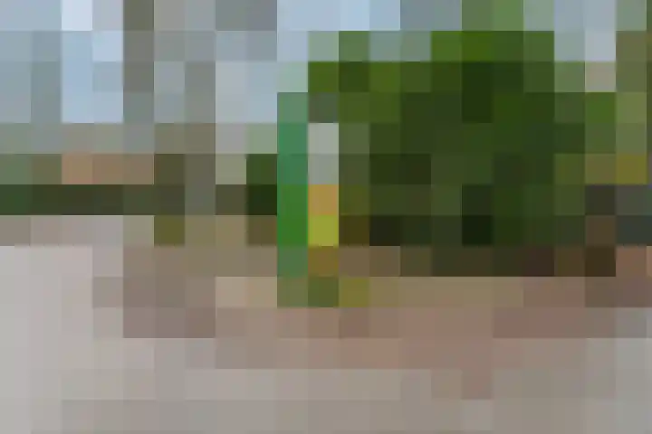 Hessenweg 83 D Lunteren thumbnail 40
