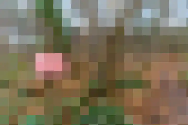 Hessenweg 83 D Lunteren thumbnail 41