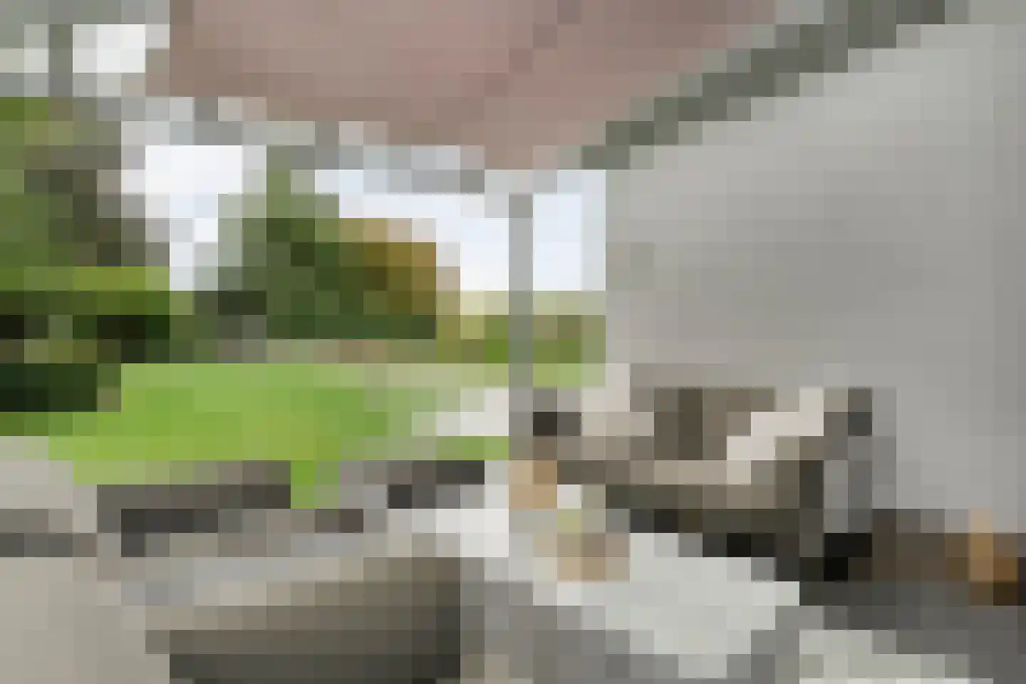 Hessenweg 85 Lunteren thumbnail 25