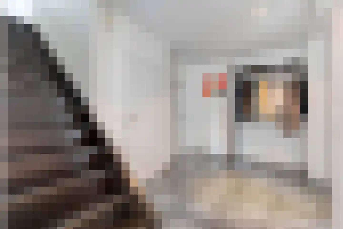Hessenweg 85 Lunteren thumbnail 35