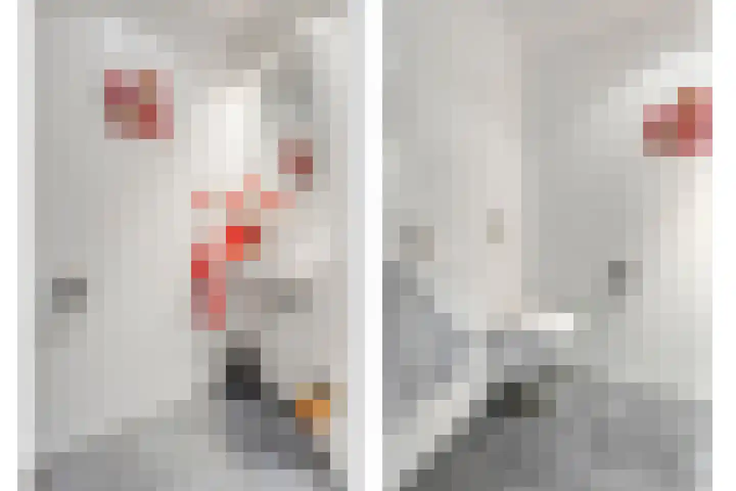 Hessenweg 85 Lunteren thumbnail 8