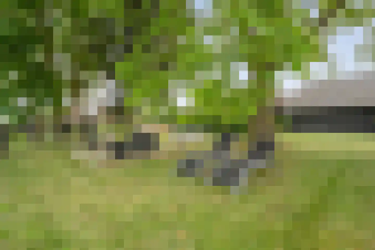 Hessenweg 9 Dalfsen thumbnail 6