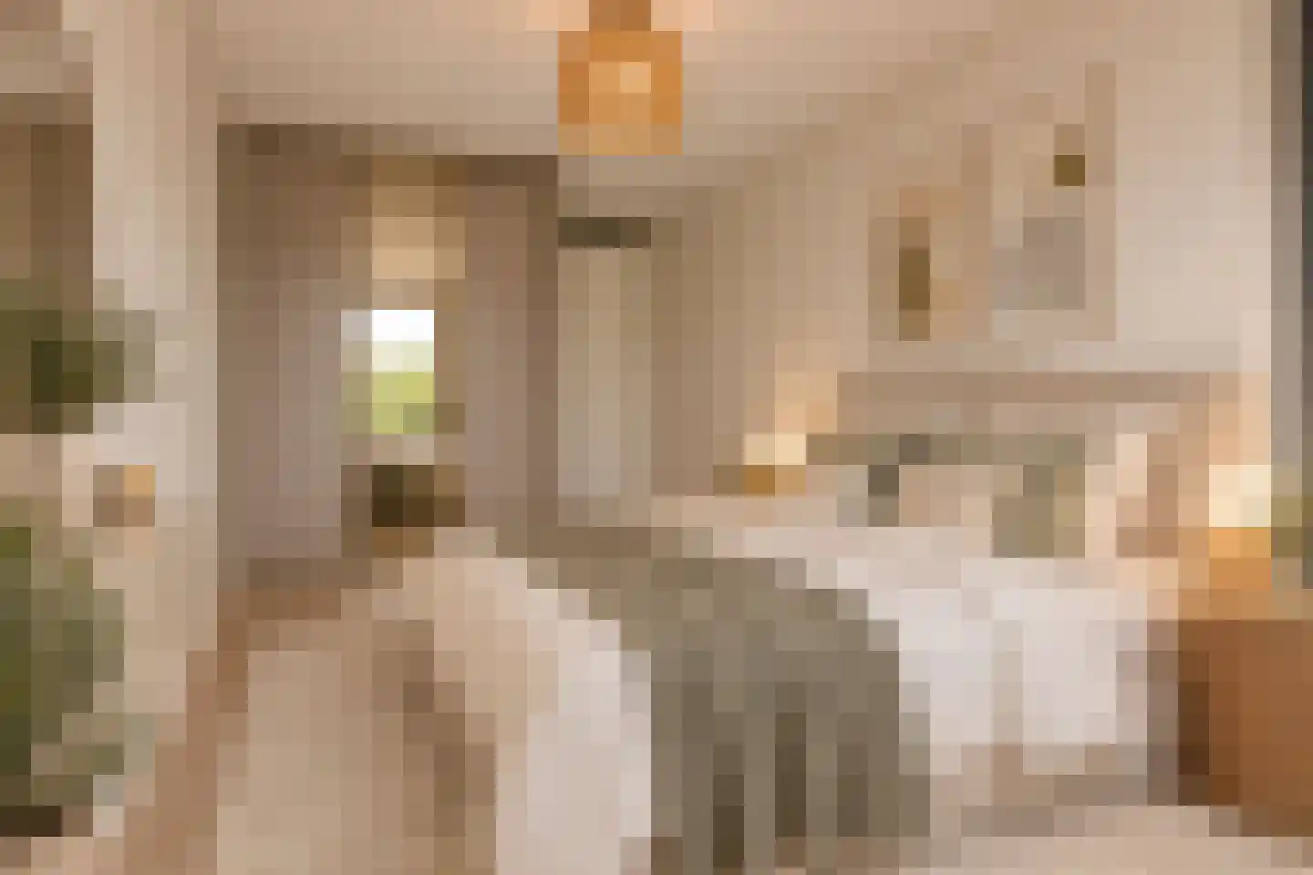 Hesseplaats 255 Rotterdam thumbnail 28