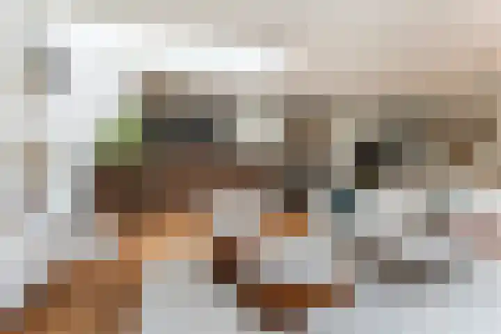 Hester Hoofterf 22 Apeldoorn thumbnail 10