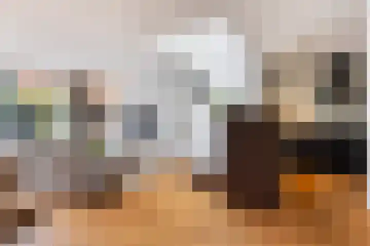 Hester Hoofterf 22 Apeldoorn thumbnail 12