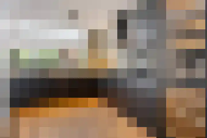 Hester Hoofterf 22 Apeldoorn thumbnail 15