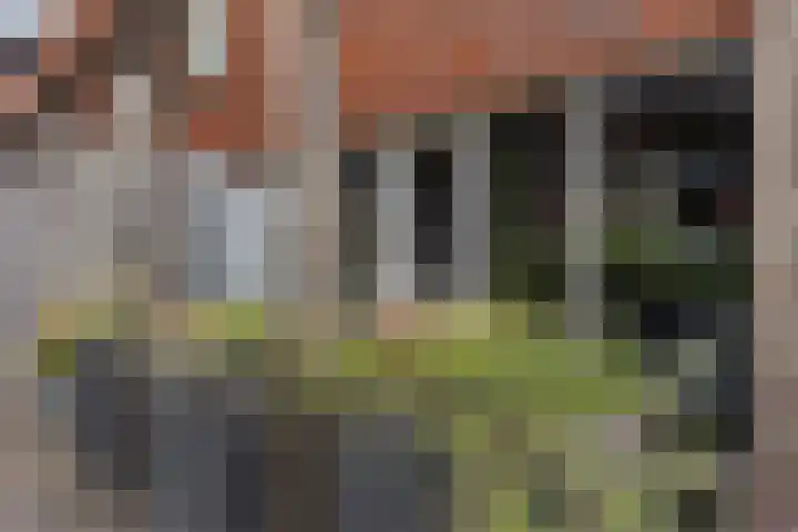 Hester Hoofterf 22 Apeldoorn thumbnail 39