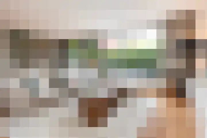 Hester Hoofterf 22 Apeldoorn thumbnail 4