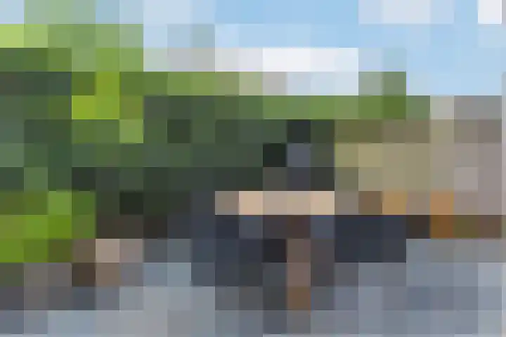 Hester Hoofterf 22 Apeldoorn thumbnail 5
