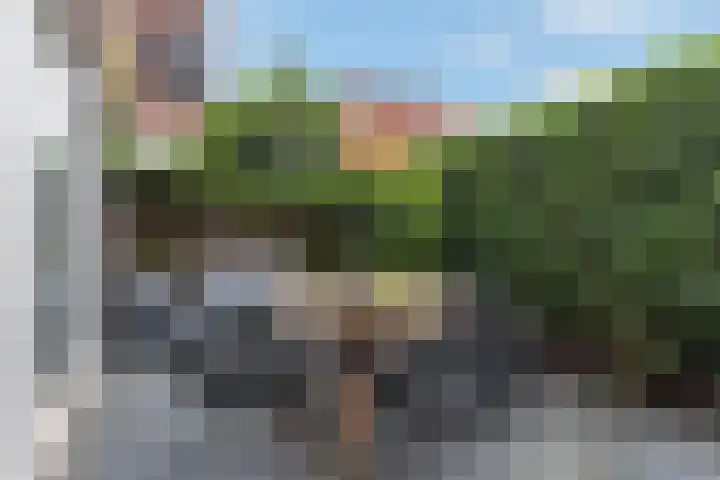 Hester Hoofterf 22 Apeldoorn thumbnail 6