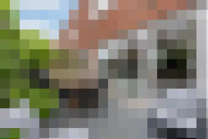 Hester Hoofterf 22 Apeldoorn thumbnail 7