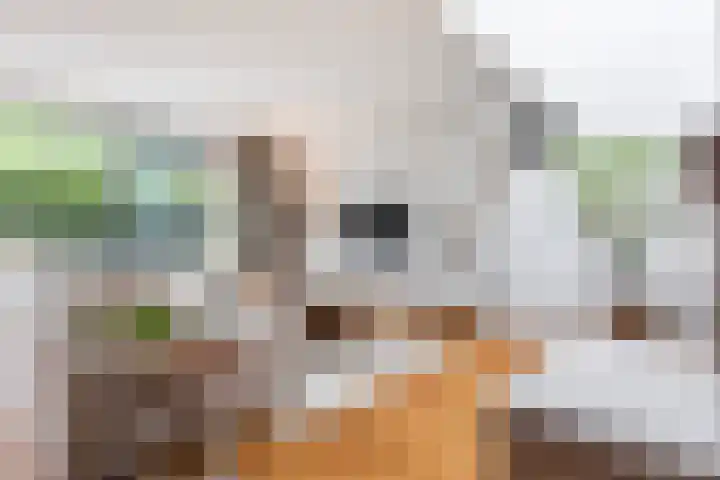 Hester Hoofterf 22 Apeldoorn thumbnail 9