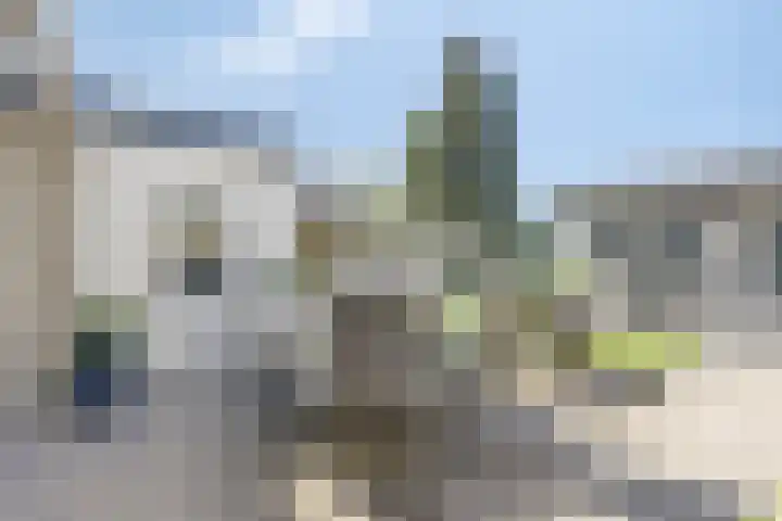Hester van Griensvenhof 10 's-Hertogenbosch thumbnail 24