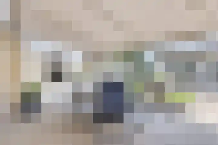 Hester van Griensvenhof 10 's-Hertogenbosch thumbnail 29