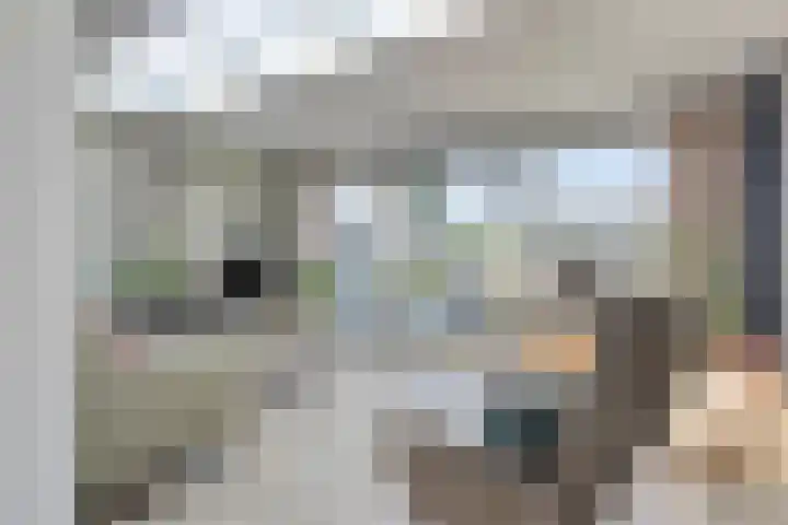 Hester van Griensvenhof 10 's-Hertogenbosch thumbnail 6