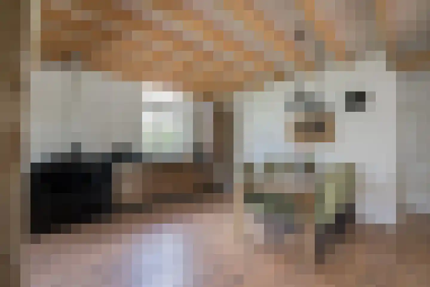 Hesterweg 2 Varsselder thumbnail 11