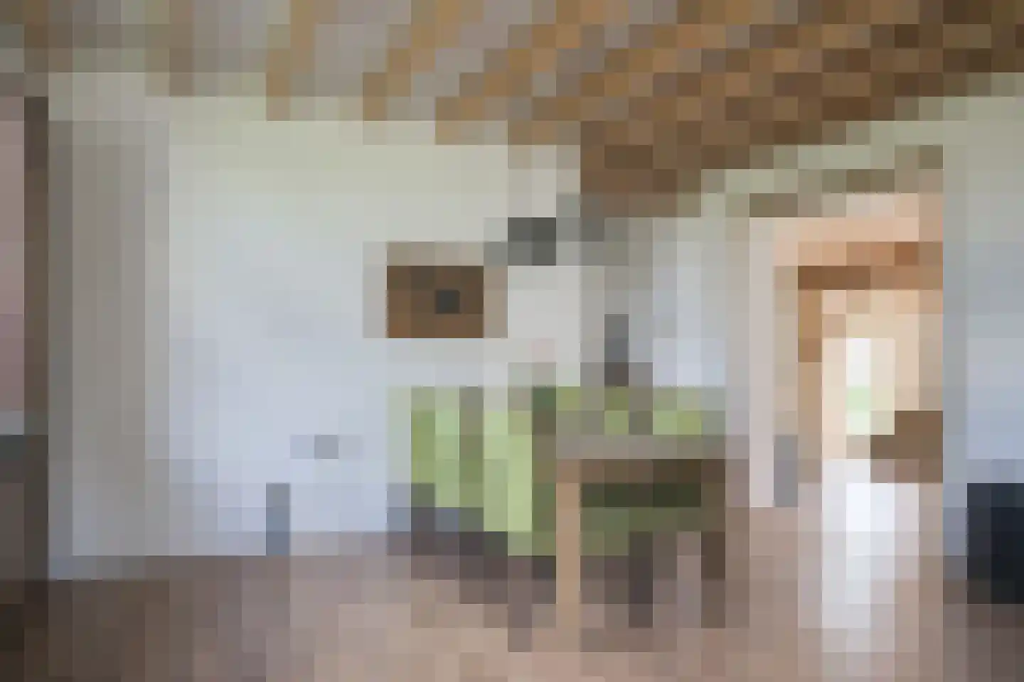 Hesterweg 2 Varsselder thumbnail 13