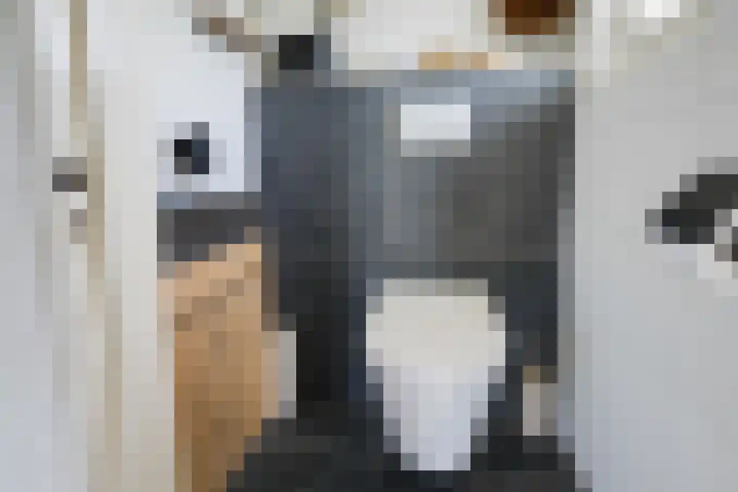 Hesterweg 2 Varsselder thumbnail 15