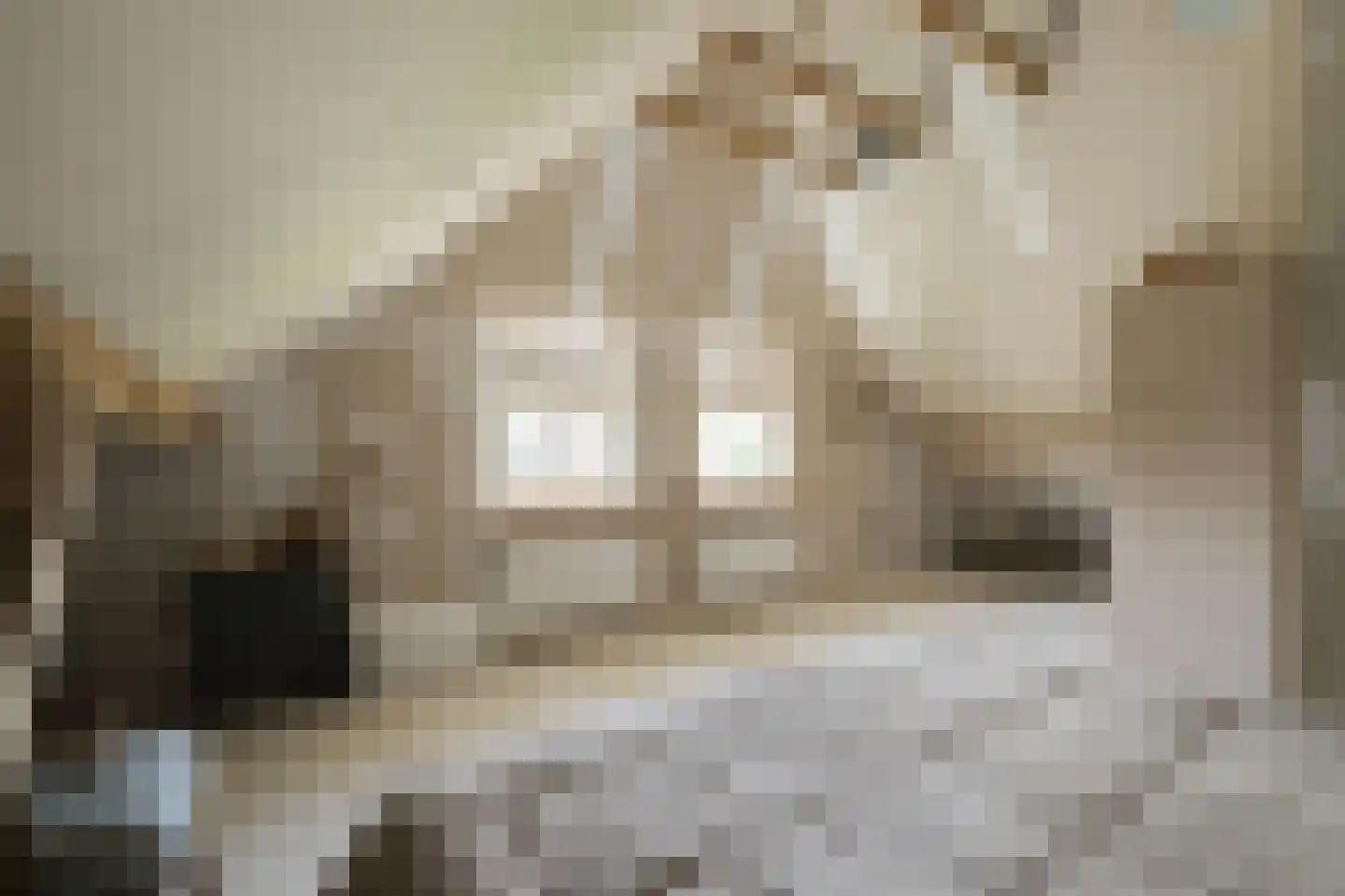 Hesterweg 2 Varsselder thumbnail 16