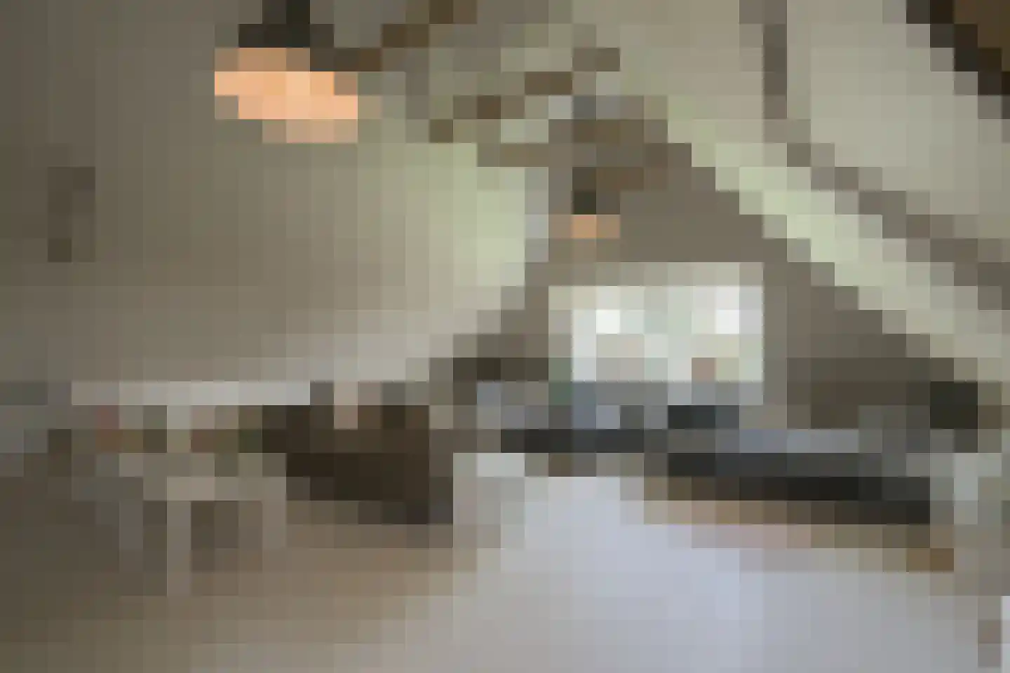 Hesterweg 2 Varsselder thumbnail 19