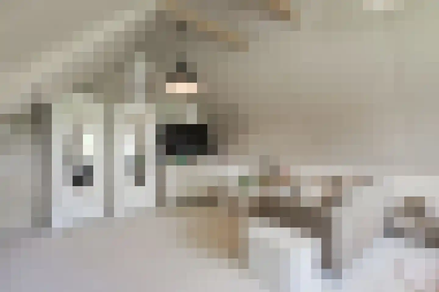 Hesterweg 2 Varsselder thumbnail 20