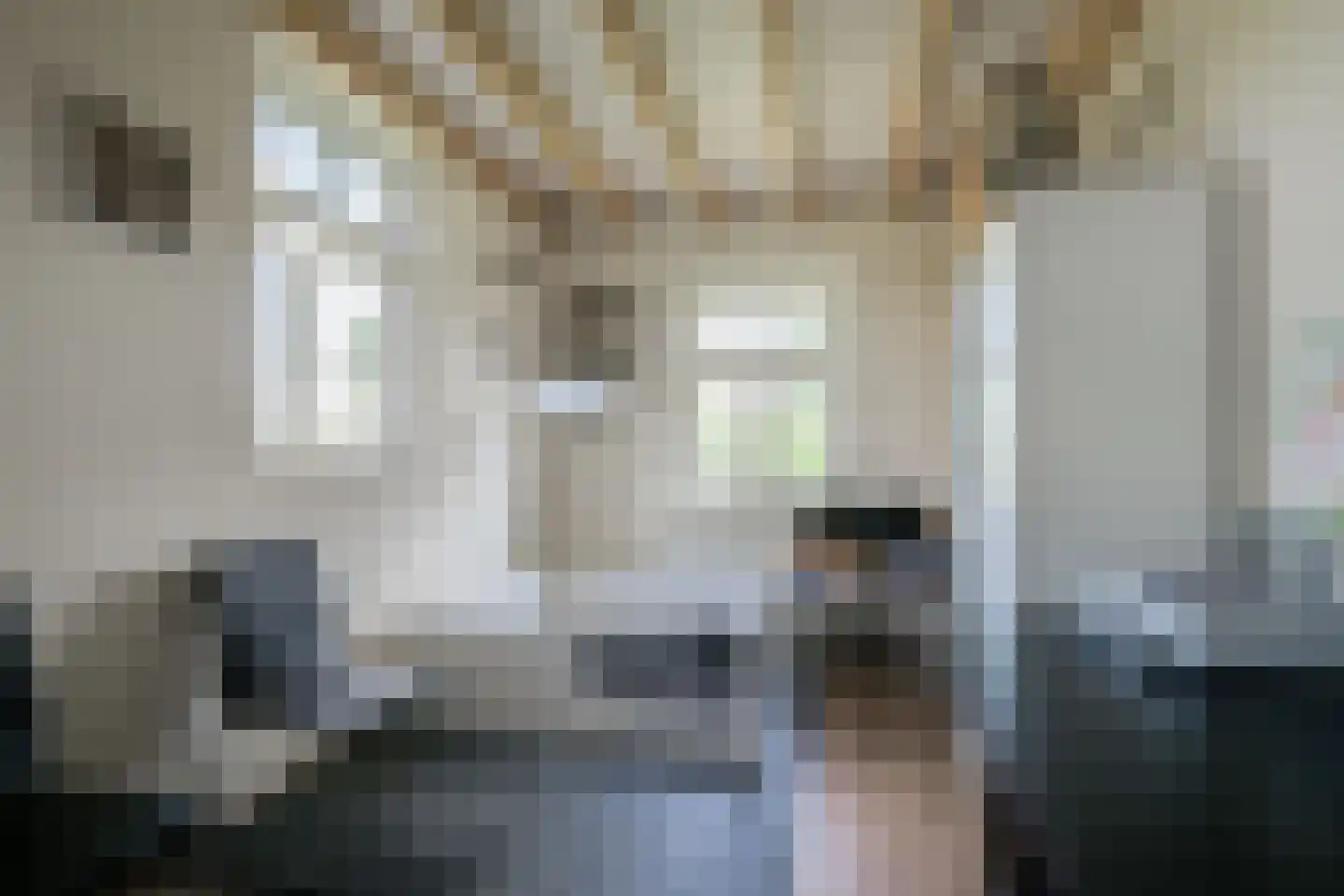 Hesterweg 2 Varsselder thumbnail 22