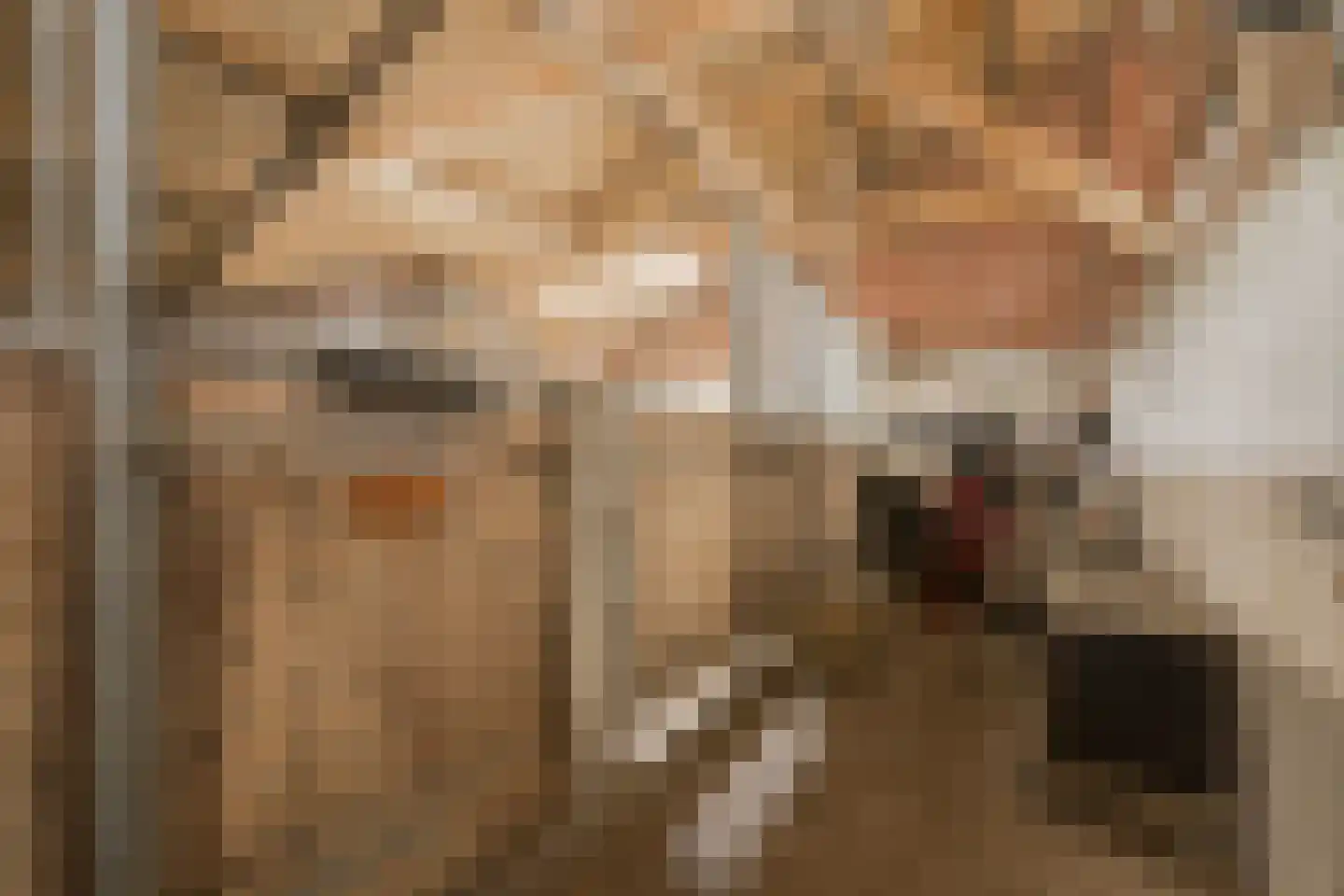 Hesterweg 2 Varsselder thumbnail 32