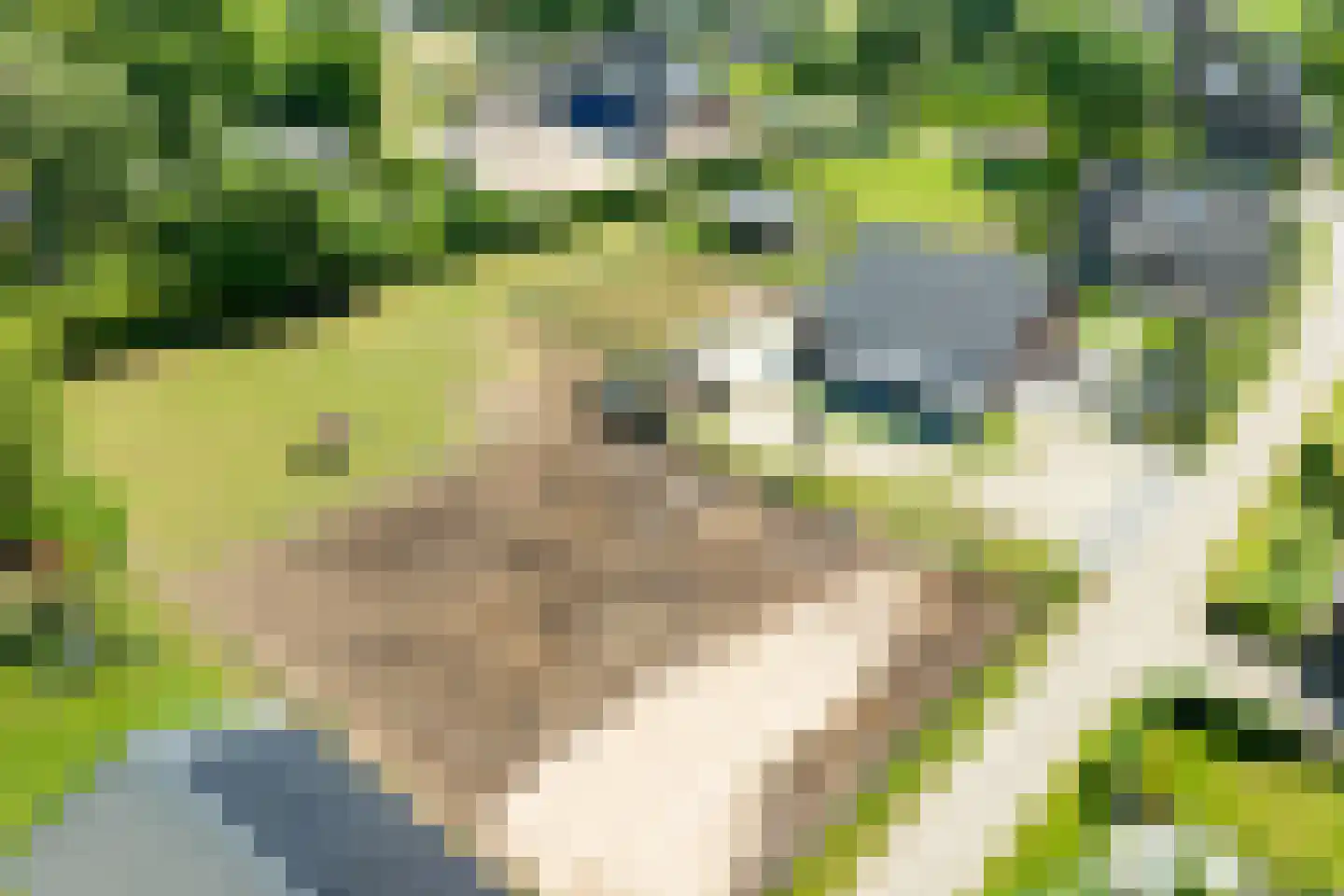 Hesterweg 2 Varsselder thumbnail 39