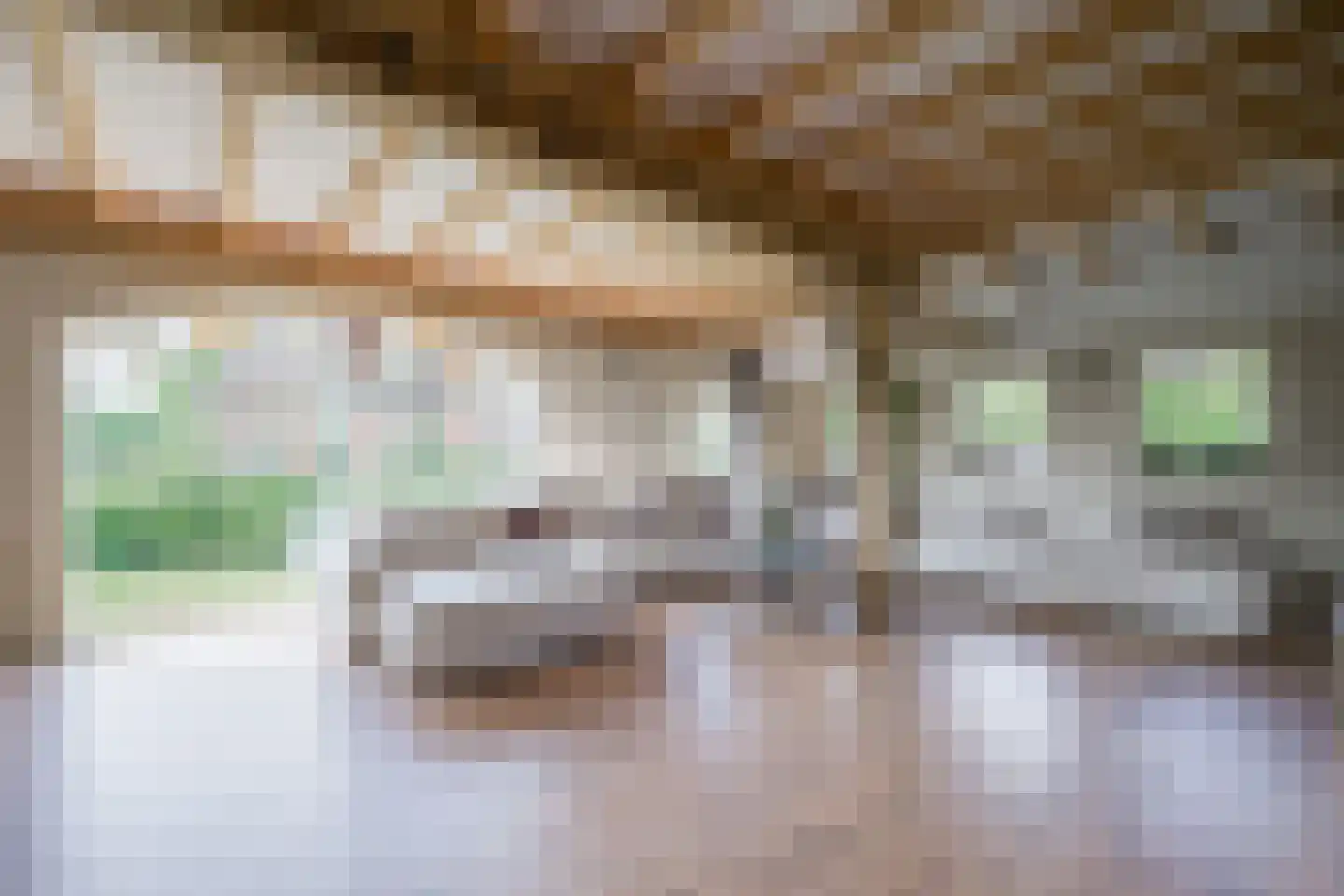 Hesterweg 2 Varsselder thumbnail 4