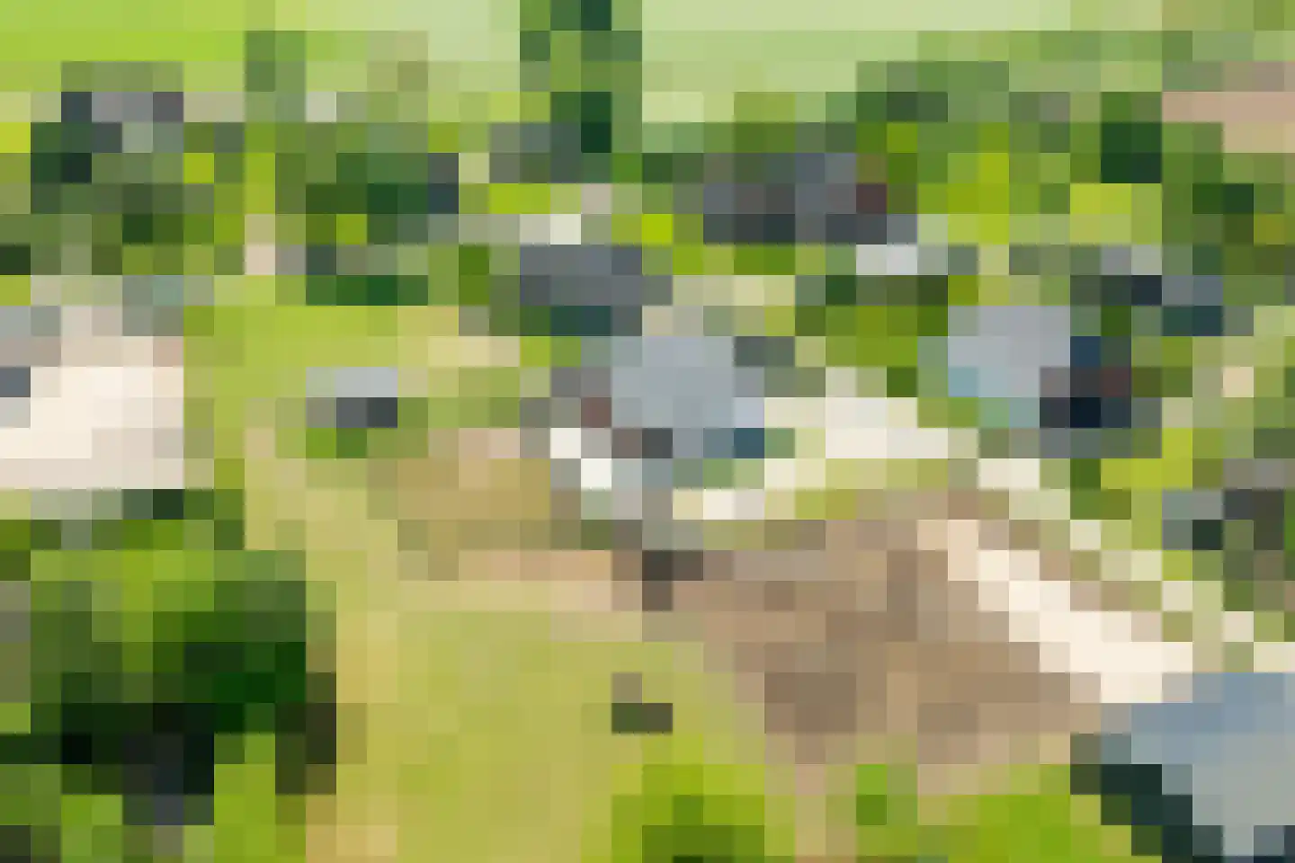 Hesterweg 2 Varsselder thumbnail 40