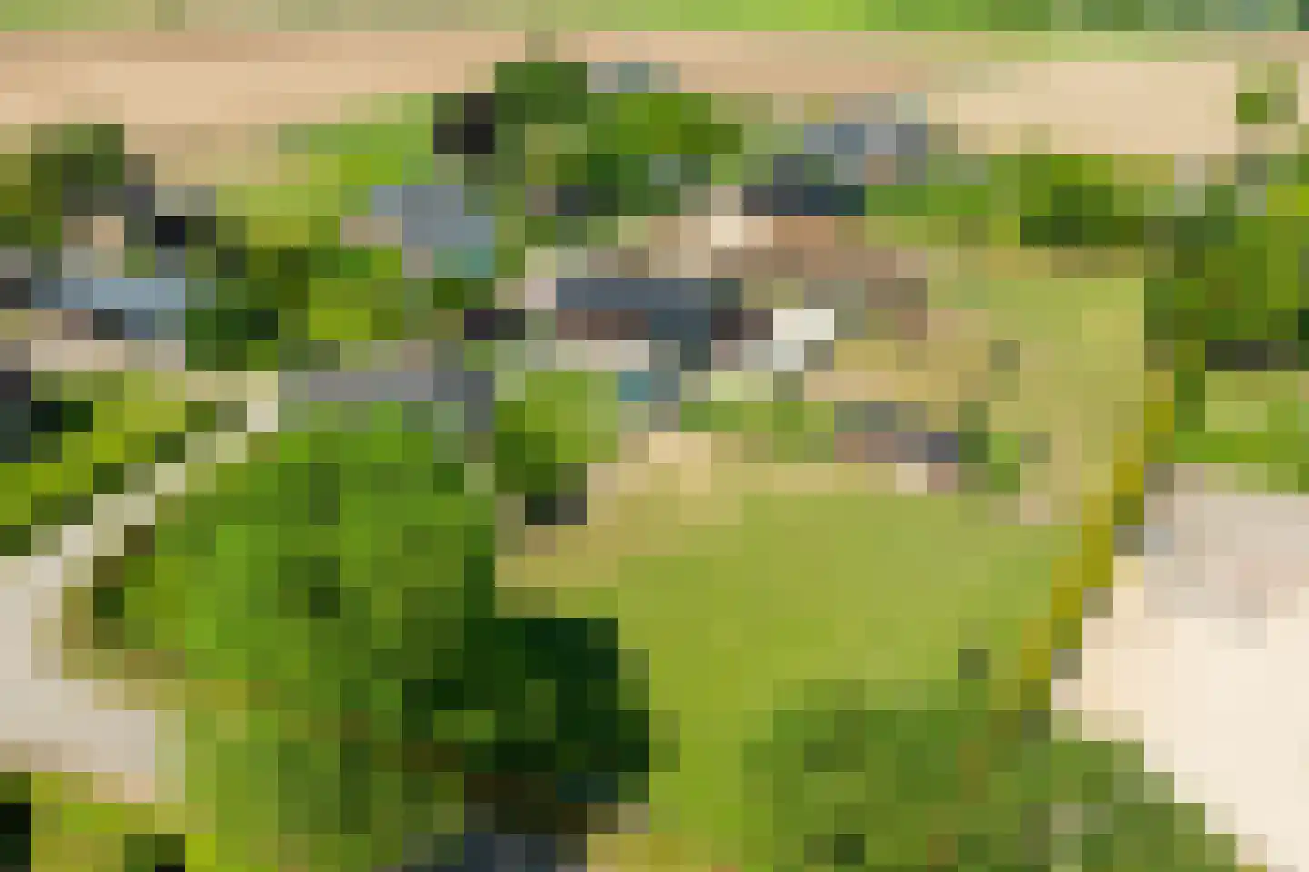 Hesterweg 2 Varsselder thumbnail 41