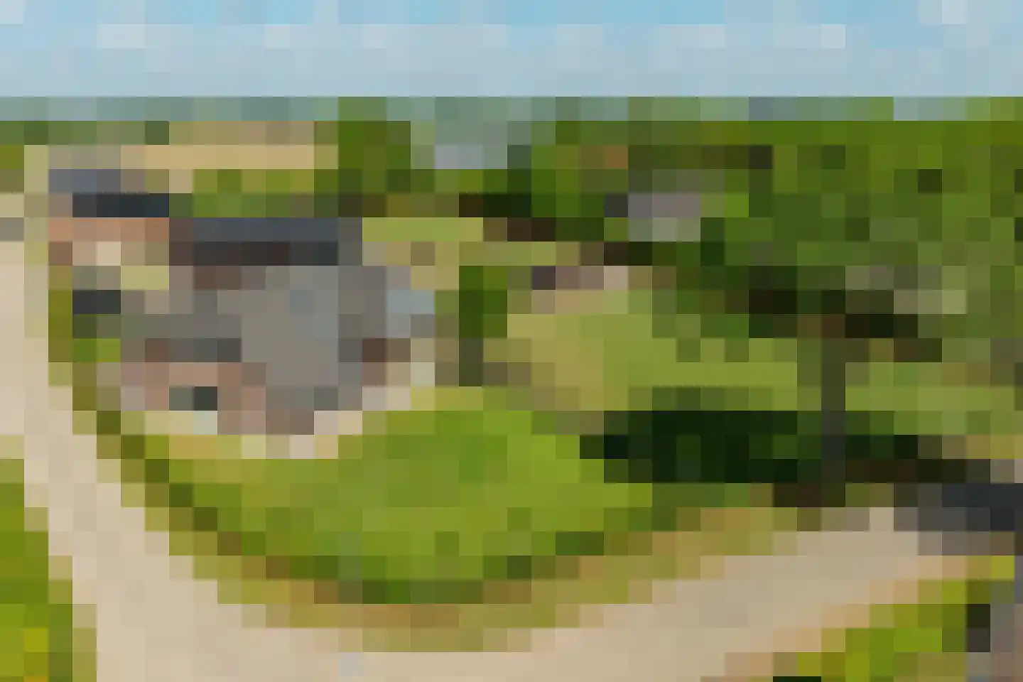 Hesterweg 2 Varsselder thumbnail 44