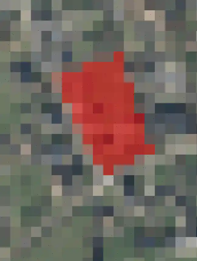 Hesterweg 2 Varsselder thumbnail 51