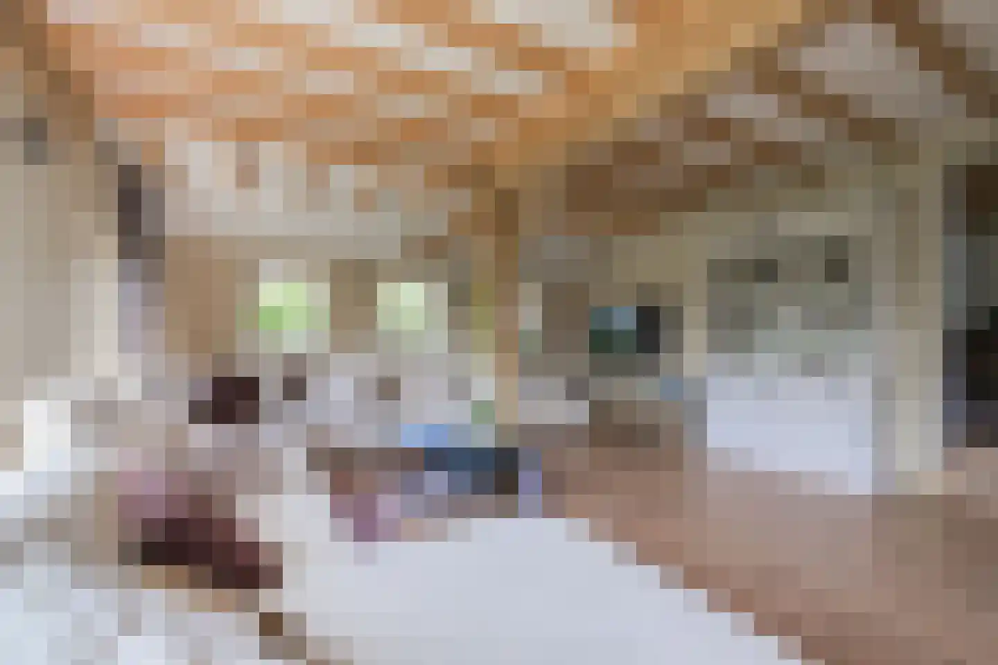 Hesterweg 2 Varsselder thumbnail 6