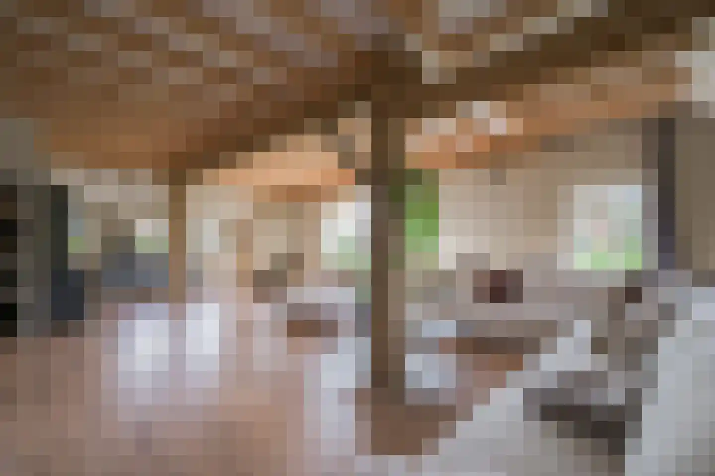 Hesterweg 2 Varsselder thumbnail 7