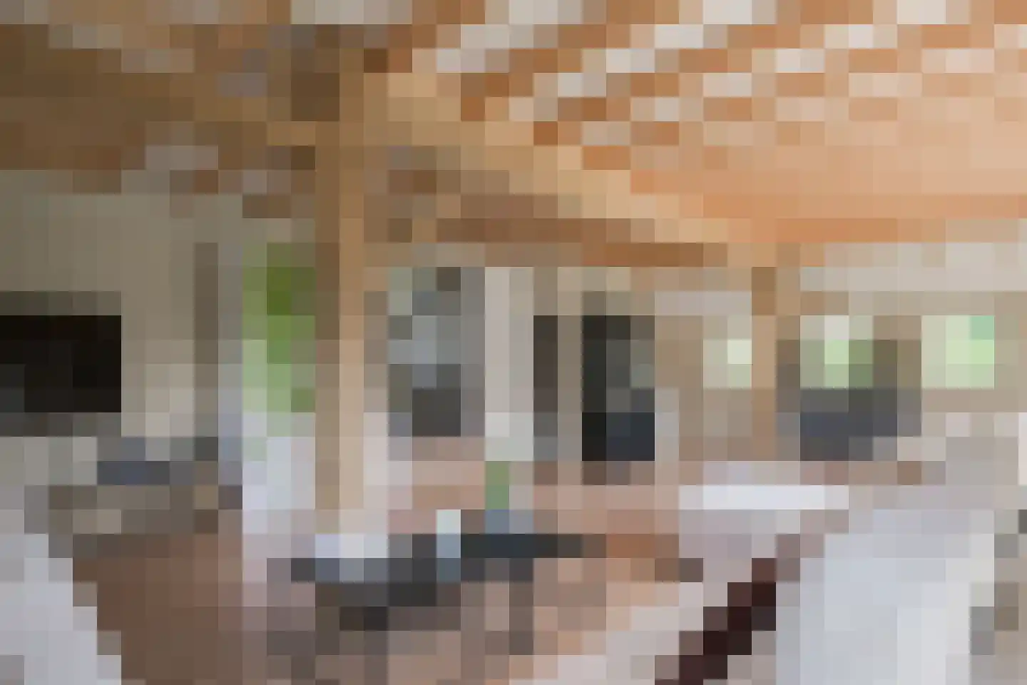 Hesterweg 2 Varsselder thumbnail 8