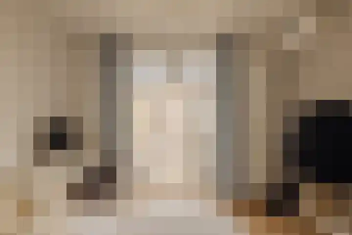 Hestiastraat 63 H Amsterdam thumbnail 15