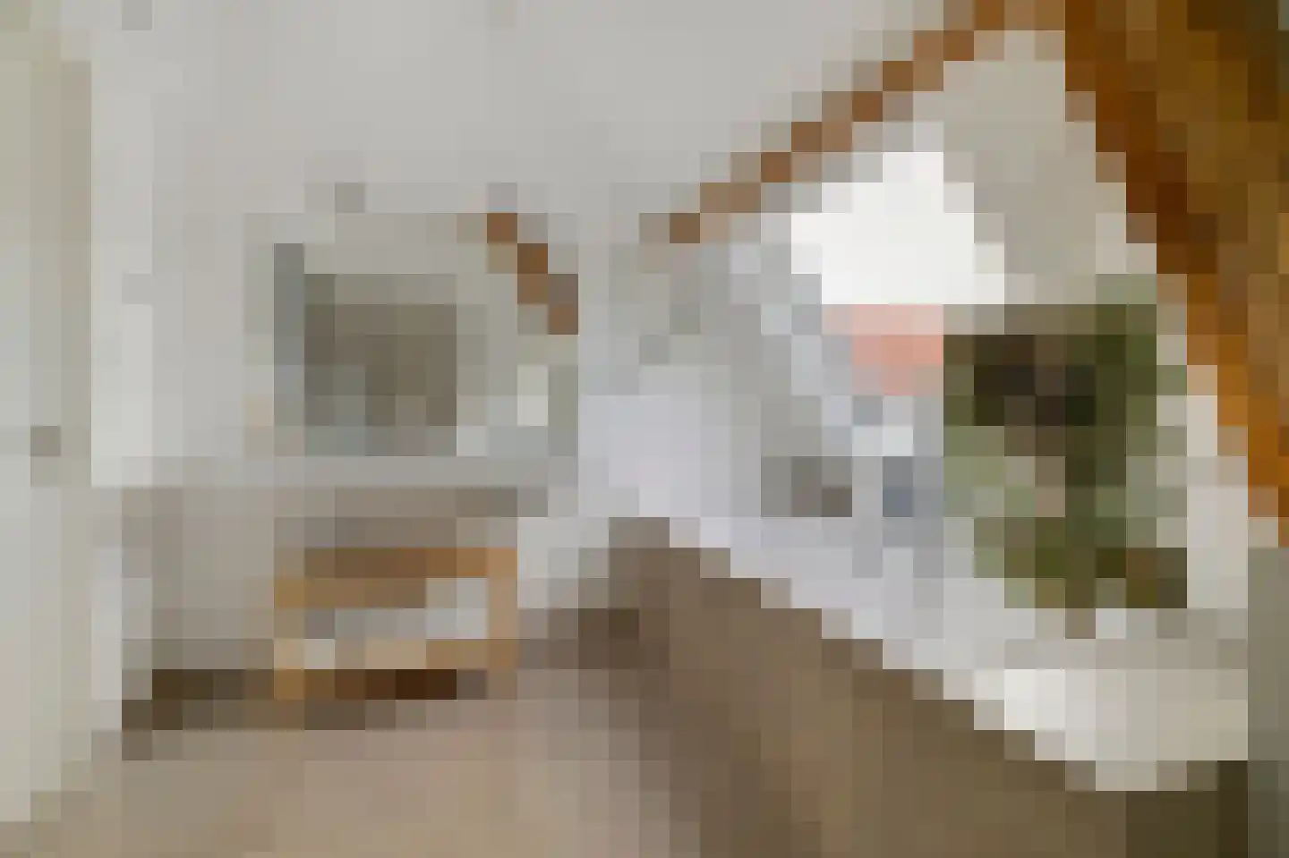Hestiastraat 65 3 Amsterdam thumbnail 20