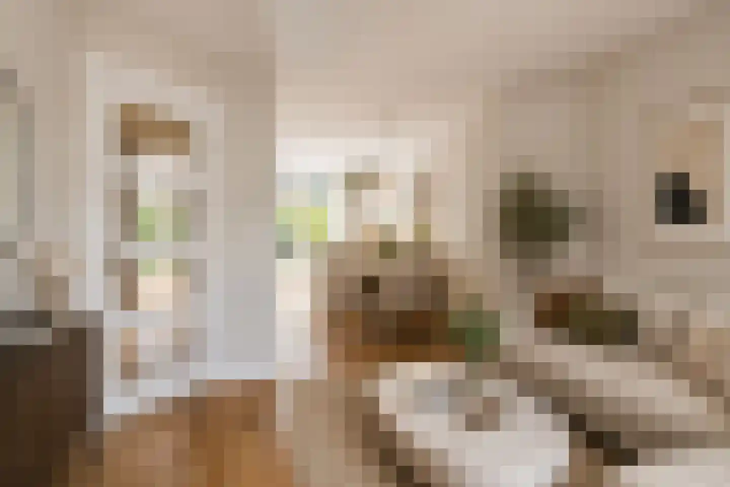 Hestiastraat 69 1 Amsterdam thumbnail 12